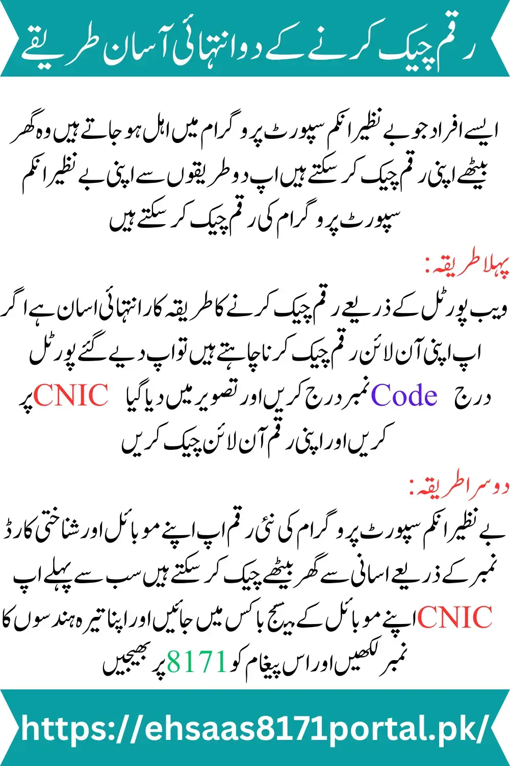 Benazir Income Support Programme Announces Online Registration for 2025-26