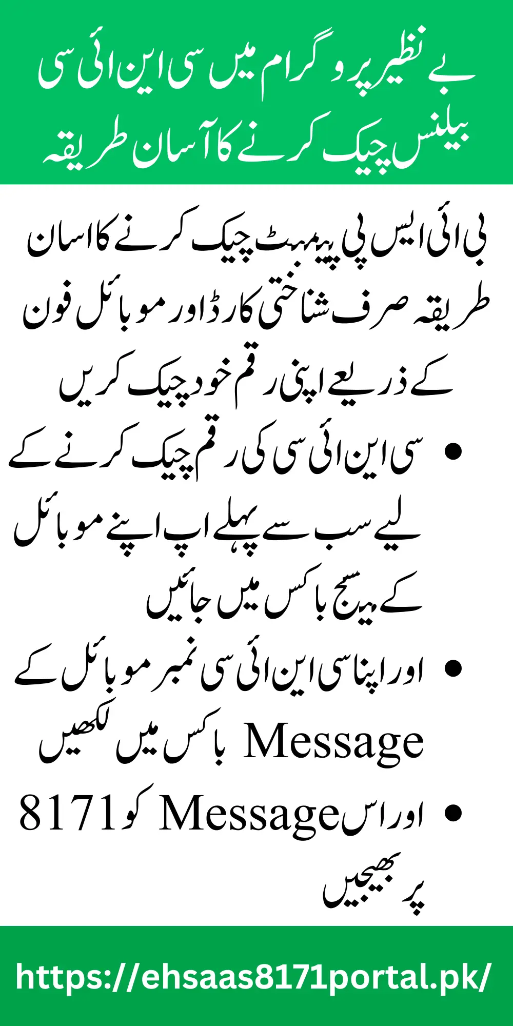 How Can I Check My CNIC In Benazir Income Support For 10500 Or 4500