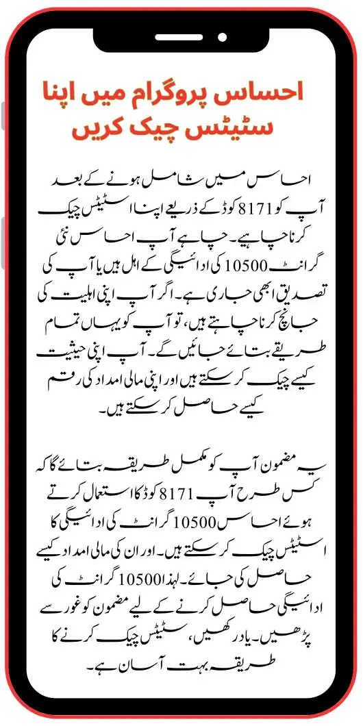 Check Your Ehsaas 10,500 Payment Status Instantly with 8171 Code