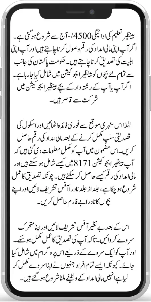 How to Confirm Your Eligibility for the 8171 Ehsaas Program January Payment For Phase 2