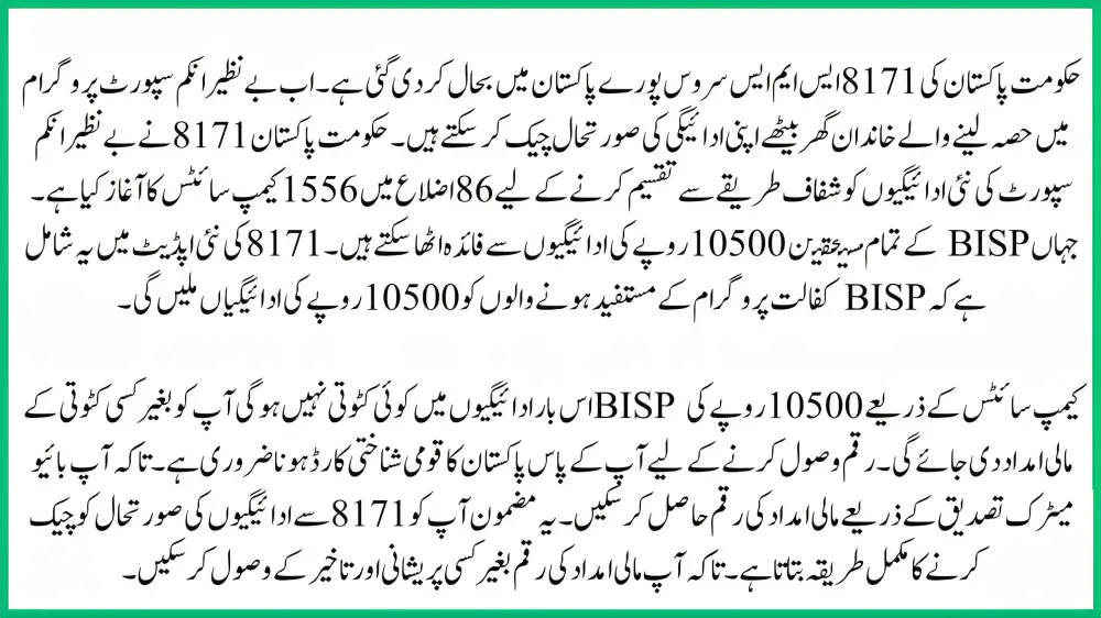 Government of Pakistan 8171 Portal: Check 13,500 Payment Online Easily