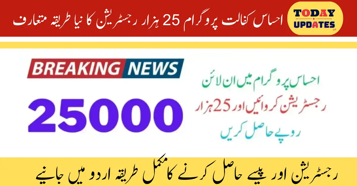 Register Now! 8171 Ehsaas Program to Provide Rs. 25,000 Under BISP from January 2026