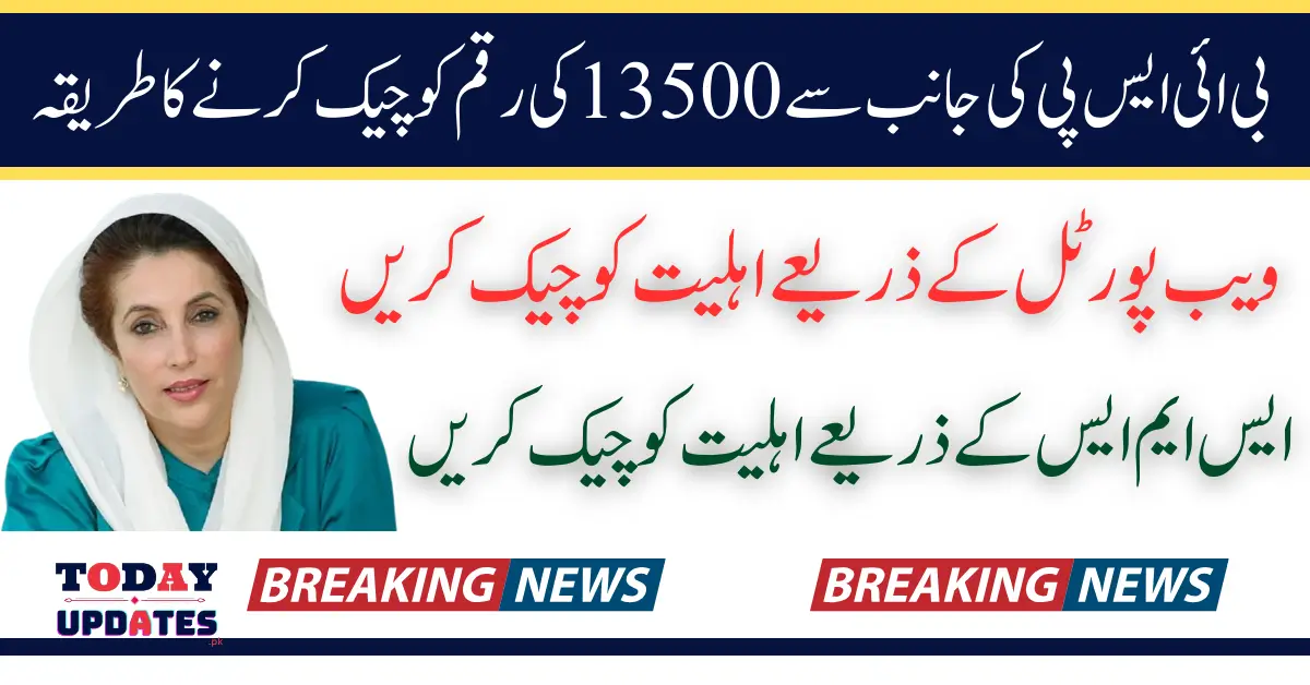 BISP 8171 March 2025 Payment Eligibility Check Through Web Portal And SMS