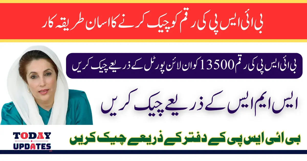 BISP Payment 13500 Check Status Using 8171 Web Portal Latest Update 2025