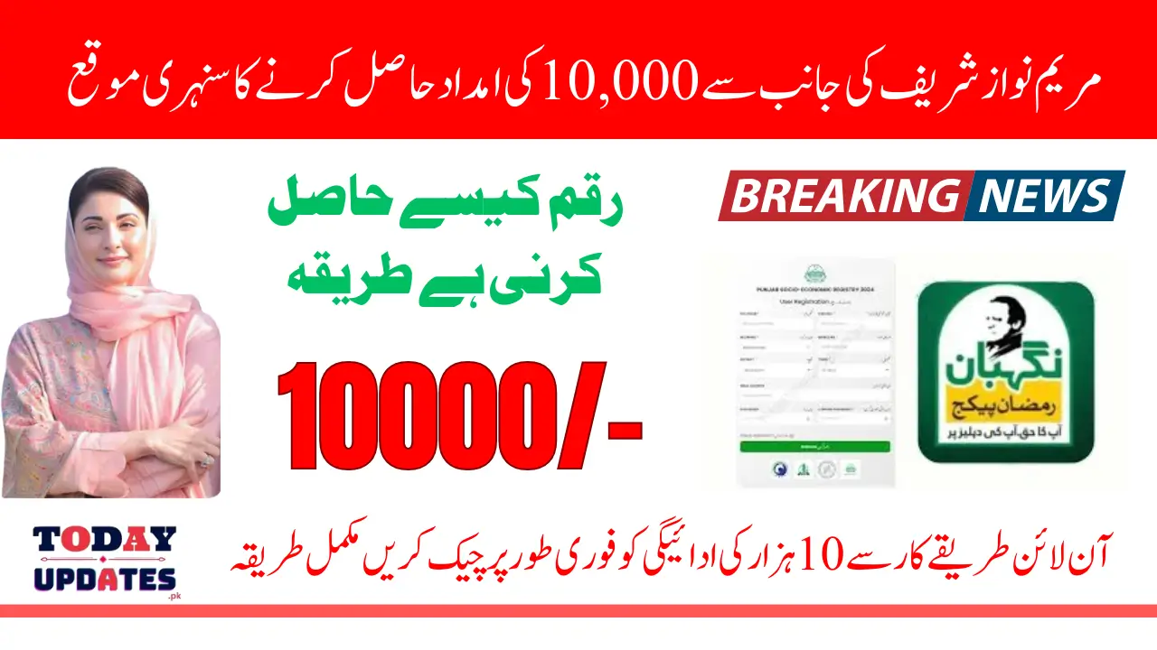 Maryam Nawaz Program Online Check 10000 Payment Through PSER Survey Are You Eligiable Or Not