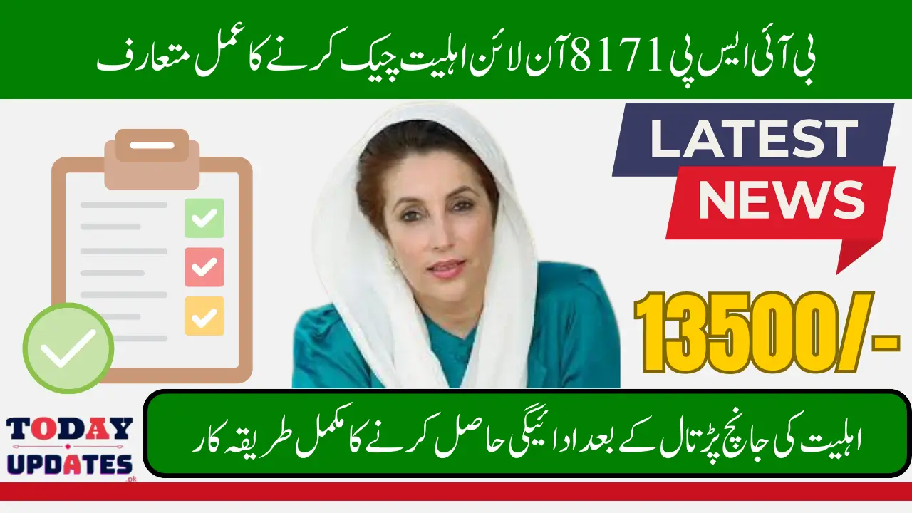 Check BISP Eligibility Online 8171 With Use CNIC Complete Method Step By Step