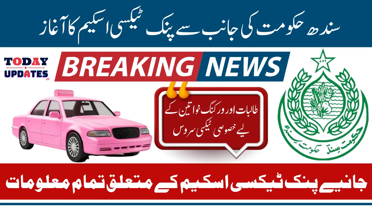Sindh E Taxi Scheme 2025 For Unemployed Individuals Know Full Details 2025