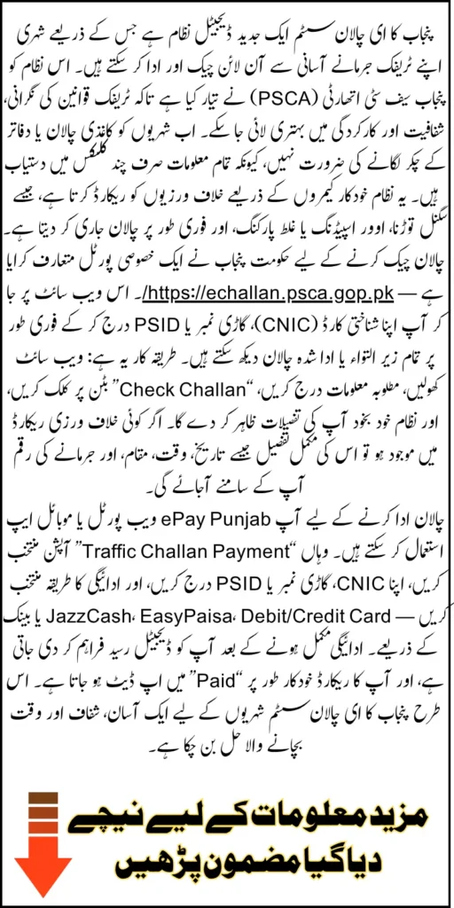 How to Check Punjab E-Challan Online Via Government Portal 2025 By Entering CNIC And Vehicle Number